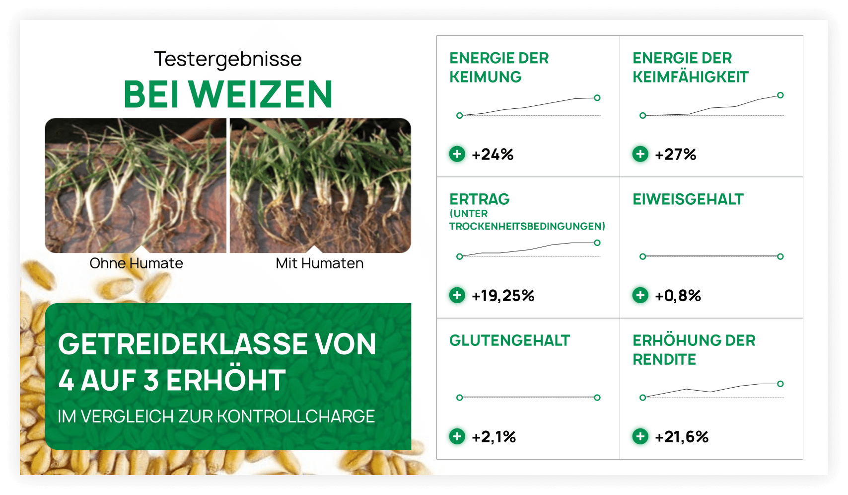 Студия веб-дизайна Шеиной Александры. Разработка сайта на тильде. Сделать сайт на тильде. Заказать сайт на тильде.