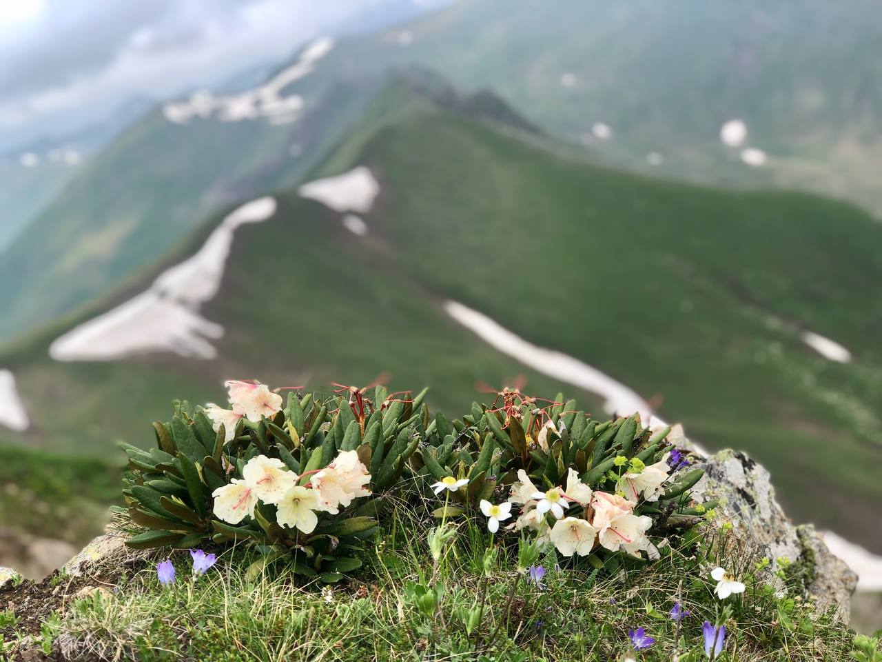 Архыз