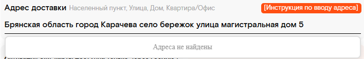 Пример некорректного ввода адреса — результат 1