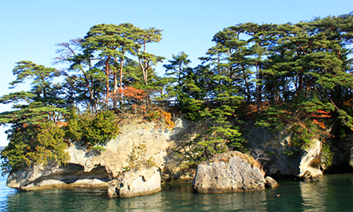 Мацусима состоит из множества больших и маленьких сосновых островов