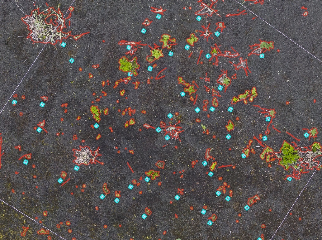 Изображение выглядит как Красочность, земля, искусство