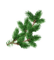 натуральная косметика, магазин профессиональной косметики, крем для ног, крем для ног с мочевиной, крем для ног купить, масло для ногтей, масло монарды для ногтей, масло для ногтей купить, косметика для ногтей, дезодорант для ног