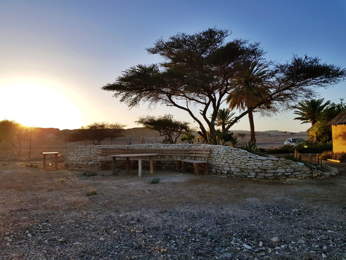 Парк Антилоп, пустыня Арава. Отдых на юге Израиля.