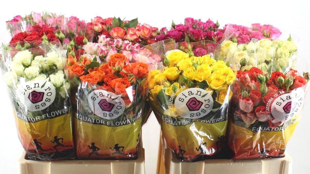 Цветы с плантации Sian