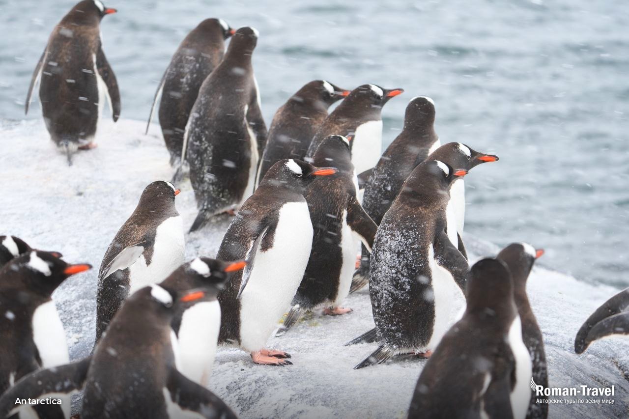 antarctica - roman travel