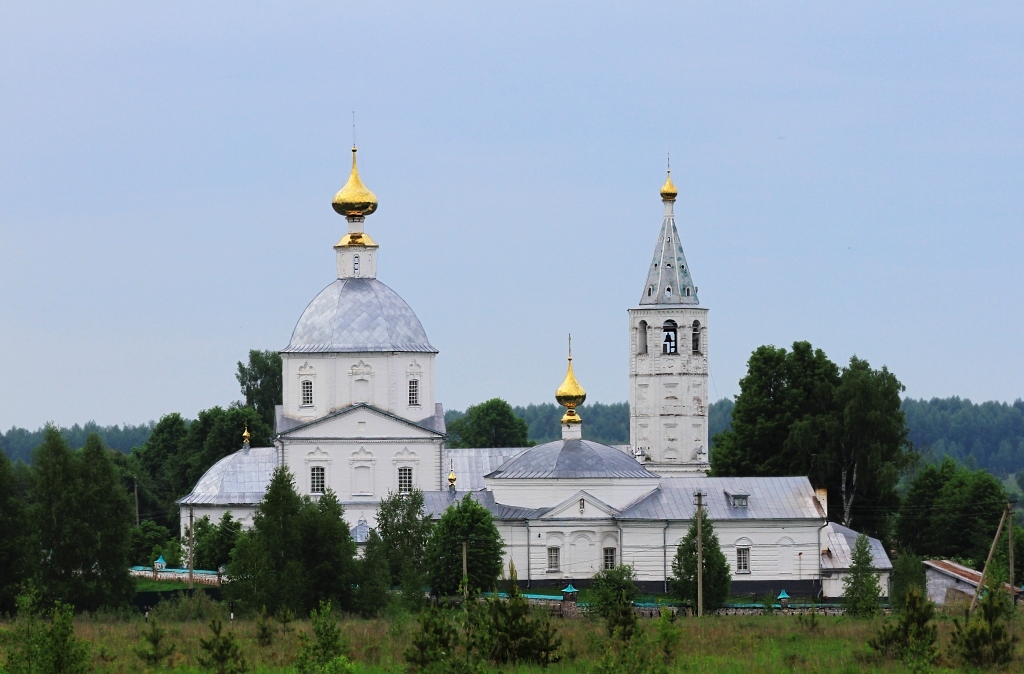 Село санино суздальский