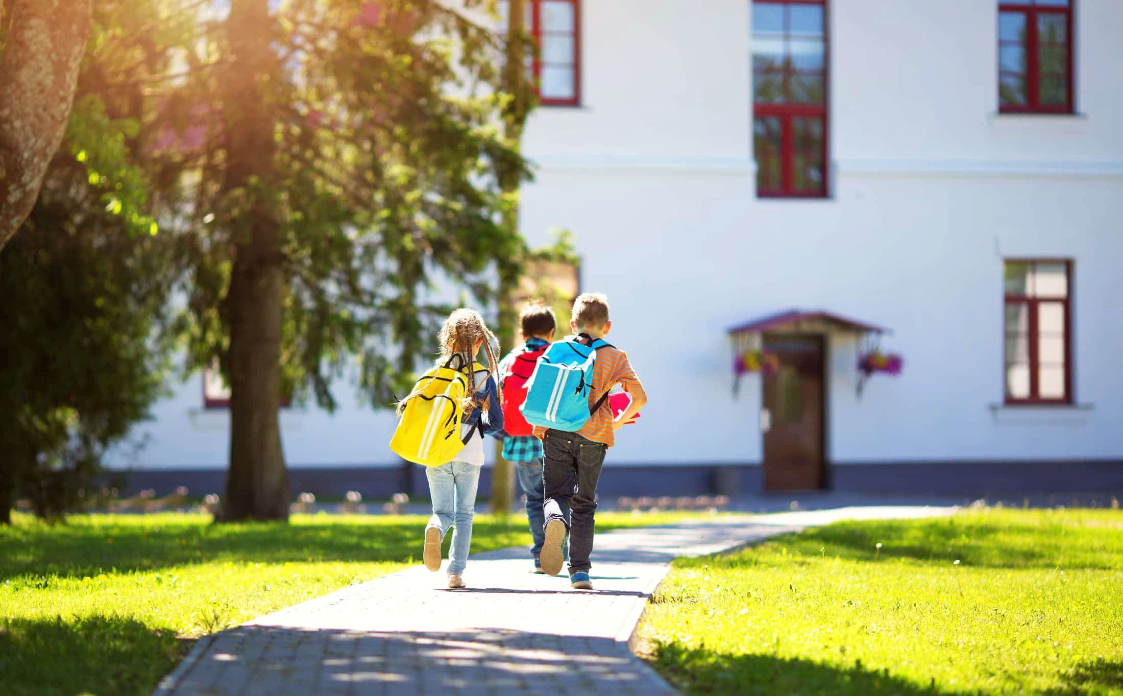 Go to school 3. Дети около школы. Дети возле школы. Дети около школы с рюкзаками. Дети около здания школы.