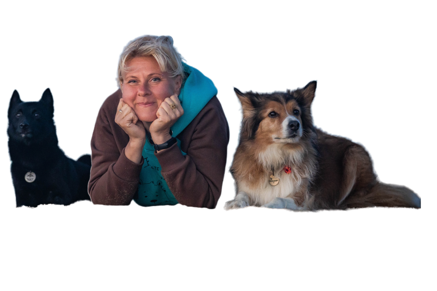 Онлайн-курс Екатерины Гуровой СТРАХИ И ФОБИИ У СОБАК. ЧТО ДЕЛАТЬ С ...