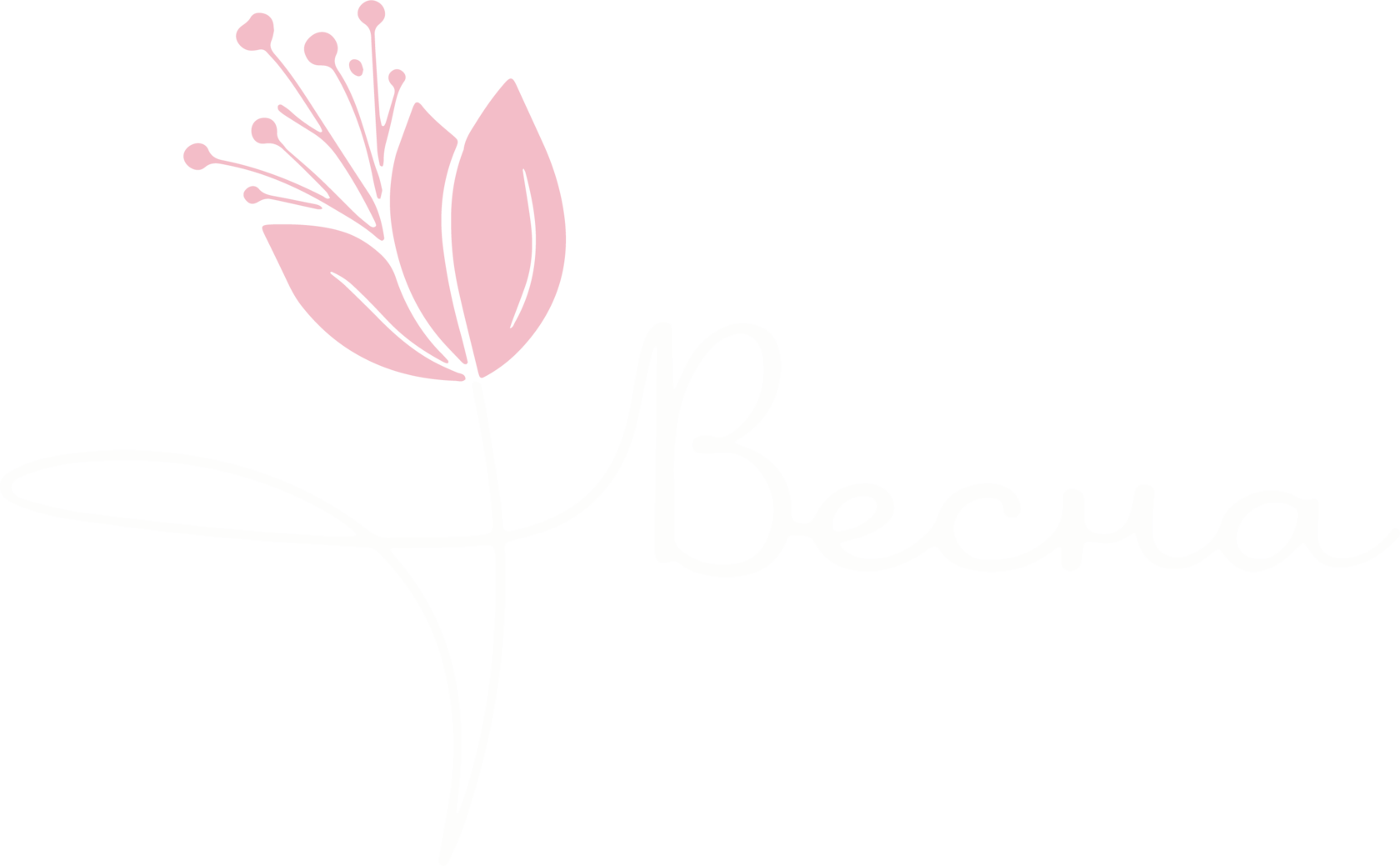ВеснаБокс