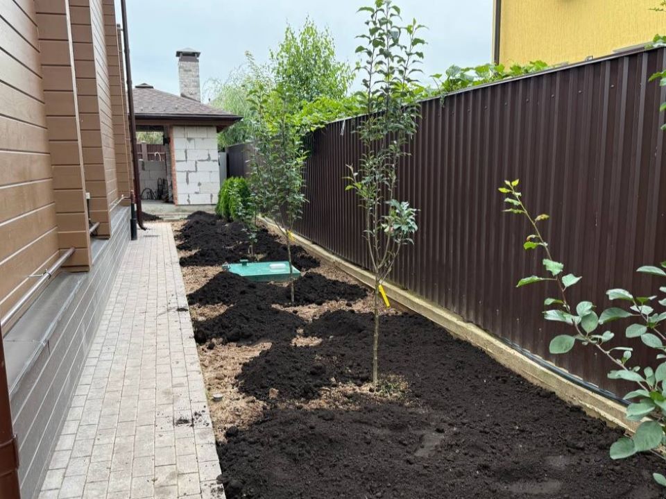 участок до укладки газона 