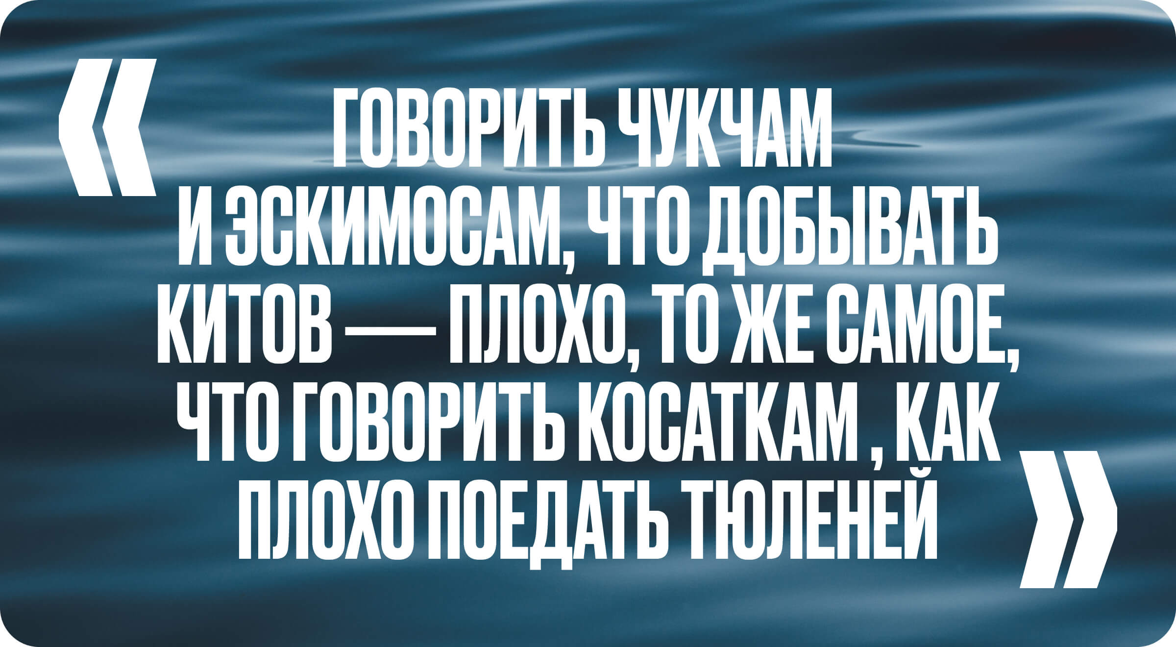 У косаток матриархат»: большое интервью с Ольгой Филатовой