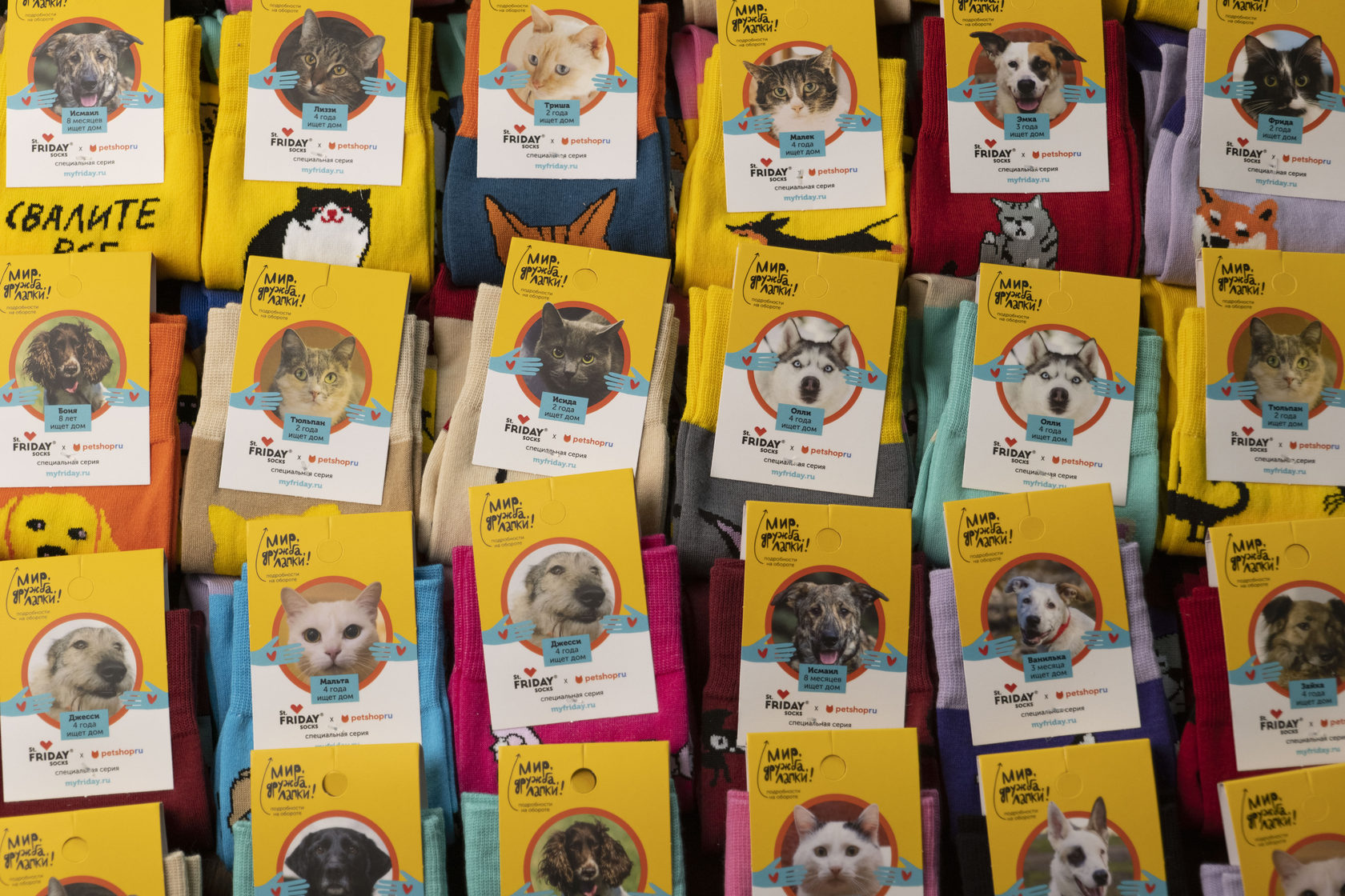 Мир, дружба, лапки!