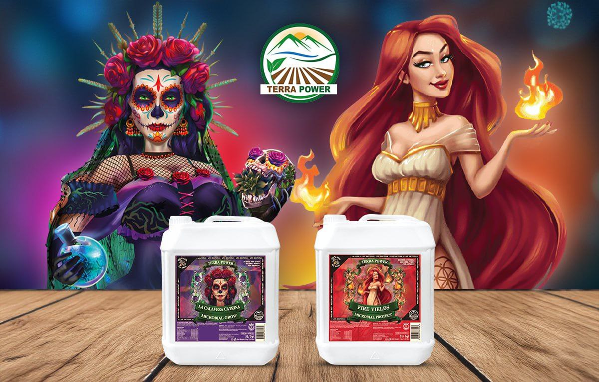 Boost Homemade Fertilizer with Terra Power