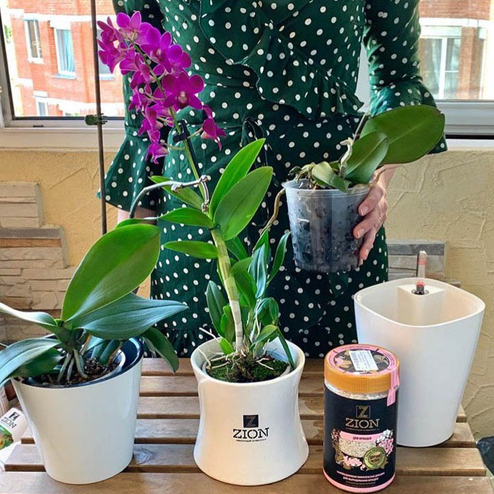 ЦИОН - инновационная добавка для растений