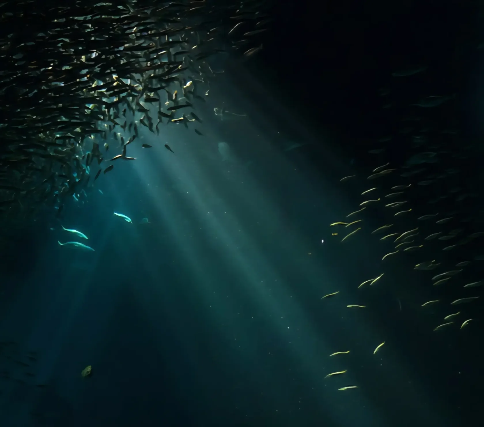 dark environment