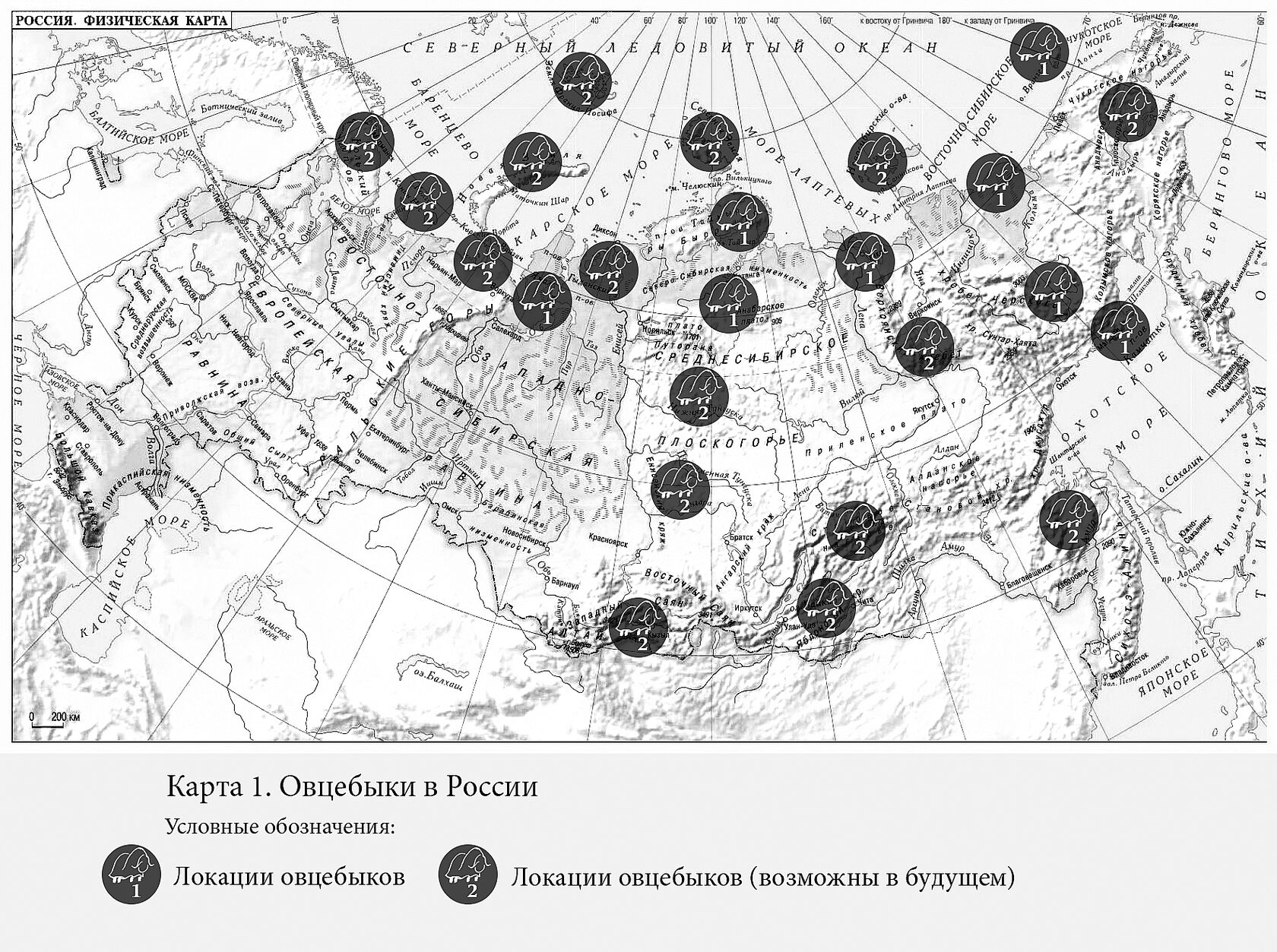 ОВЦЕБЫКОВОДСТВО КАК ЭЛЕМЕНТ РАЗВИТИЯ РЕГИОНОВ РОССИЙСКОЙ АРКТИКИ