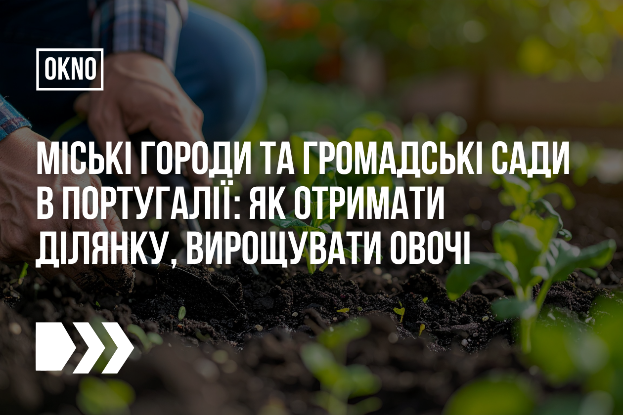 Міські городи та громадські сади в Португалії