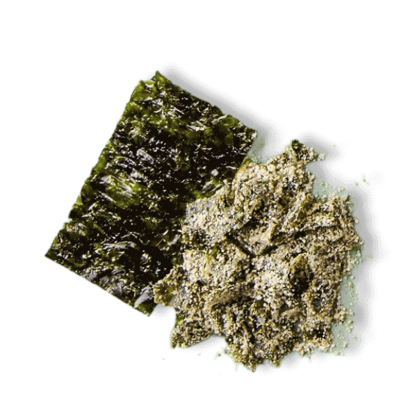 водоросли для собак