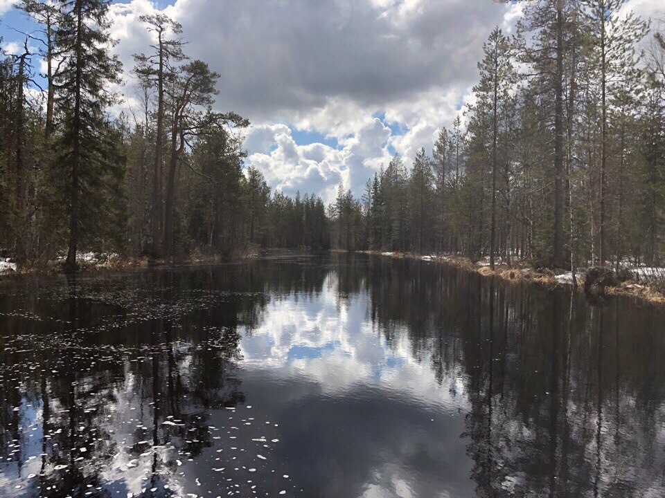 Сплав по реке Лоймола