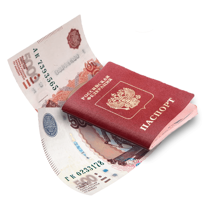 Сколько стоит оформить гражданство РФ?