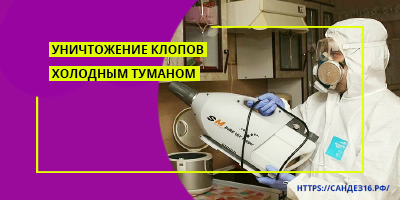 Обработка от клопов холодным туманом