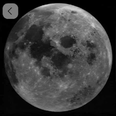 Луна,логотип,гадалка,чёрная,магия,Евгения,ясновидящая,Москва