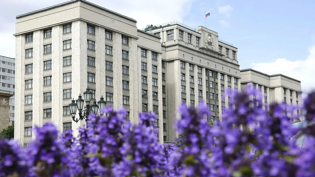 Госдума законопроект поддержки молодёжных НКО 2026