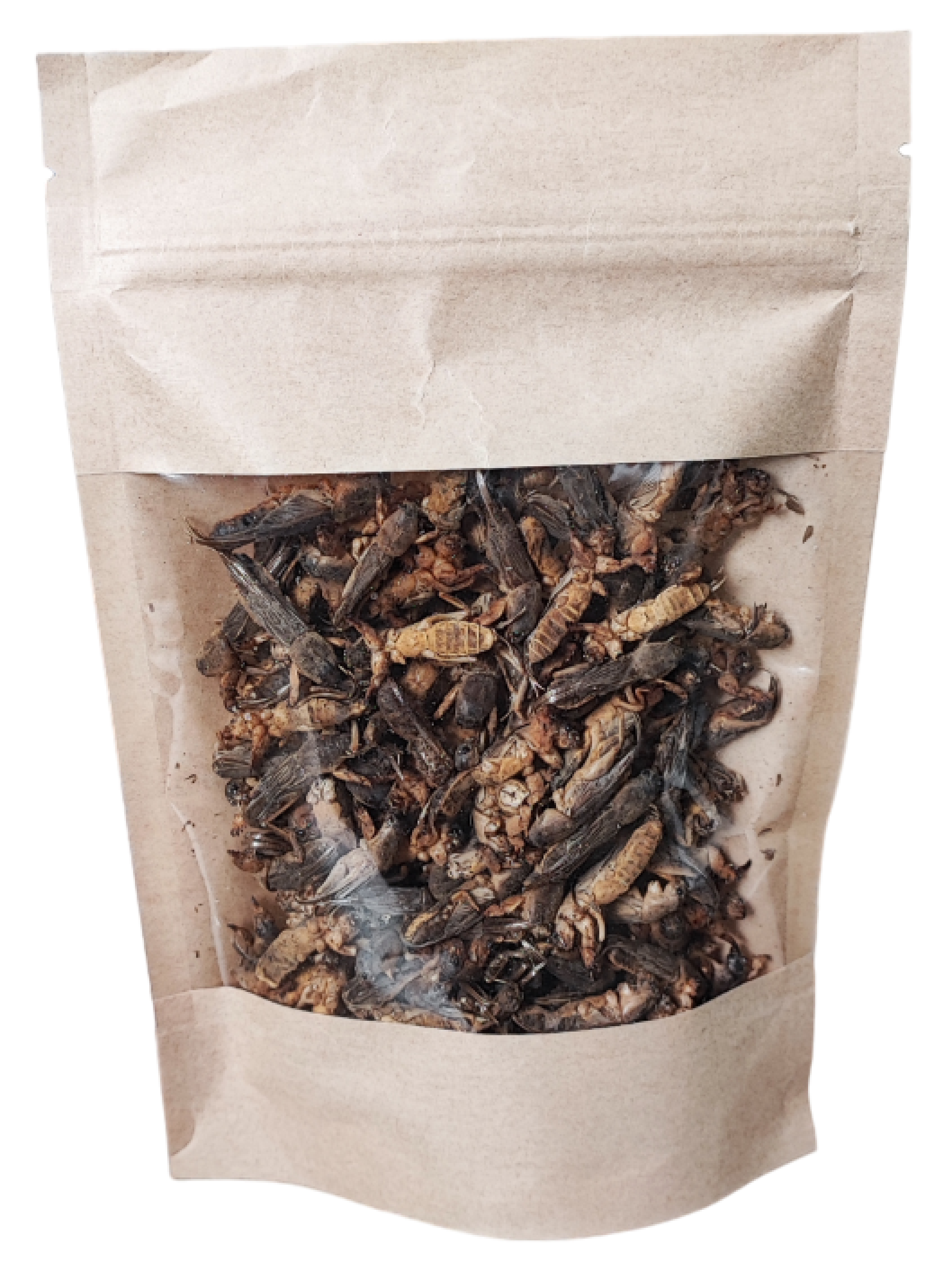 Медведка - лечение и профилактика туберкулёза