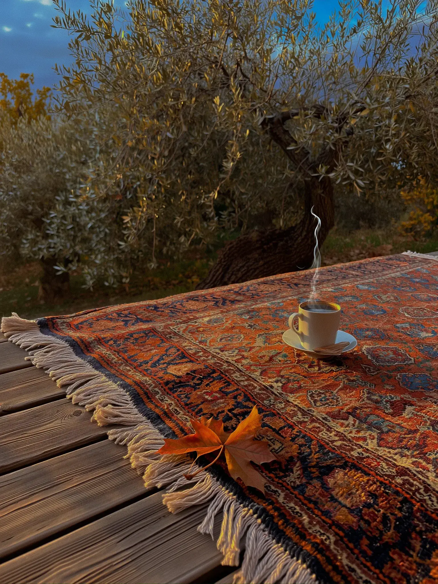 Autumn aesthetics 13