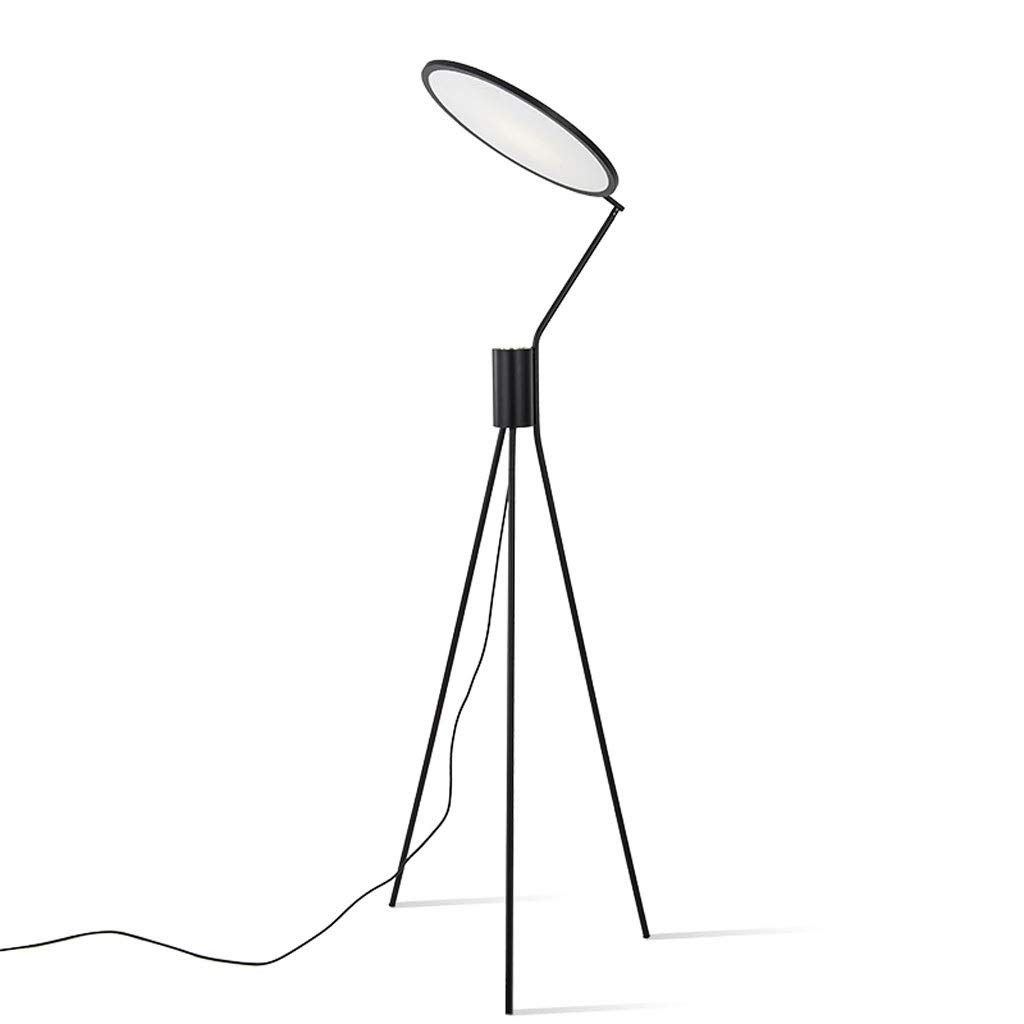 Дизайнерский напольный светильник (торшер) Verre Lampe купить в Москве ...