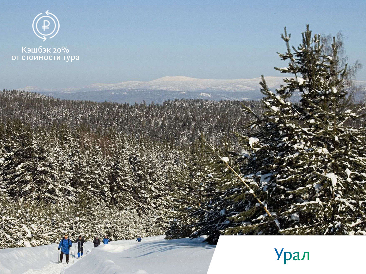 киты в охотском море