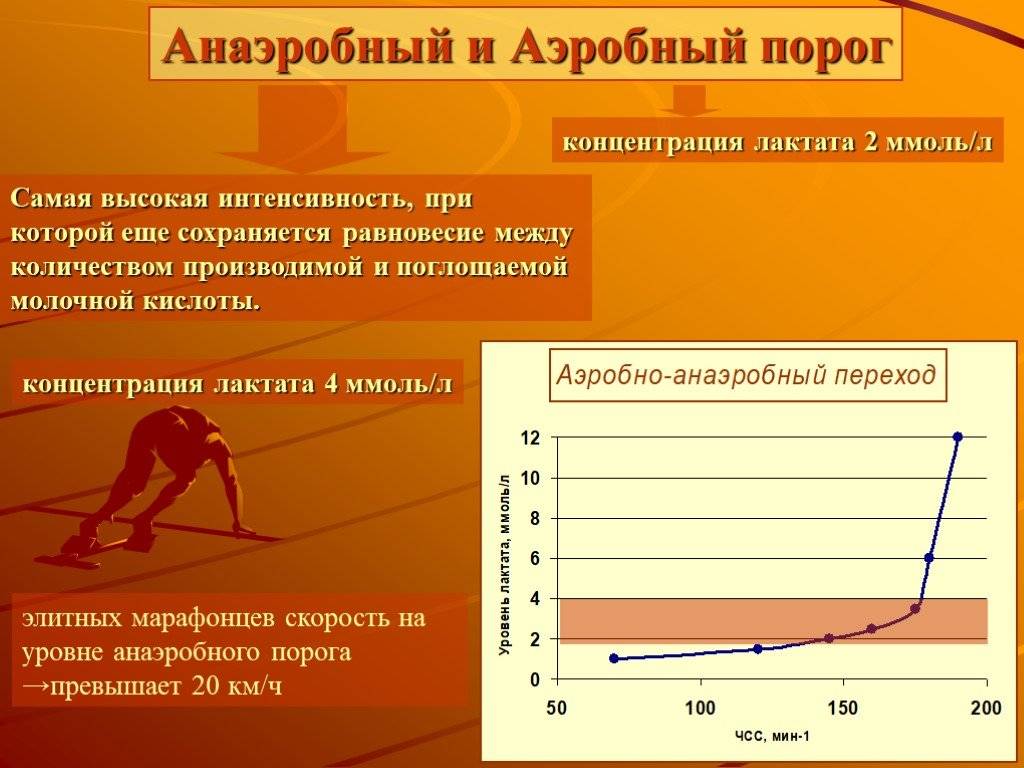 Развитие анаэробного компонента специальной выносливости | OLD GYM