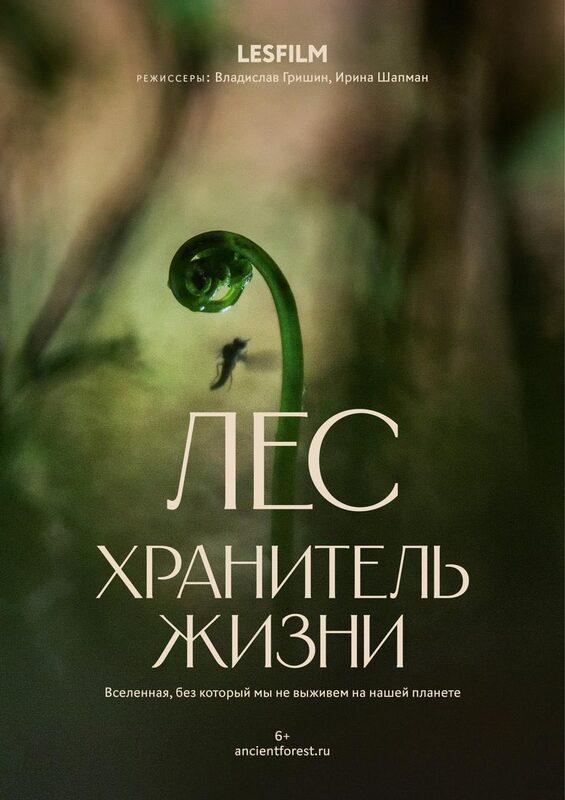 Афиша фильма «Лес. Хранитель жизни»