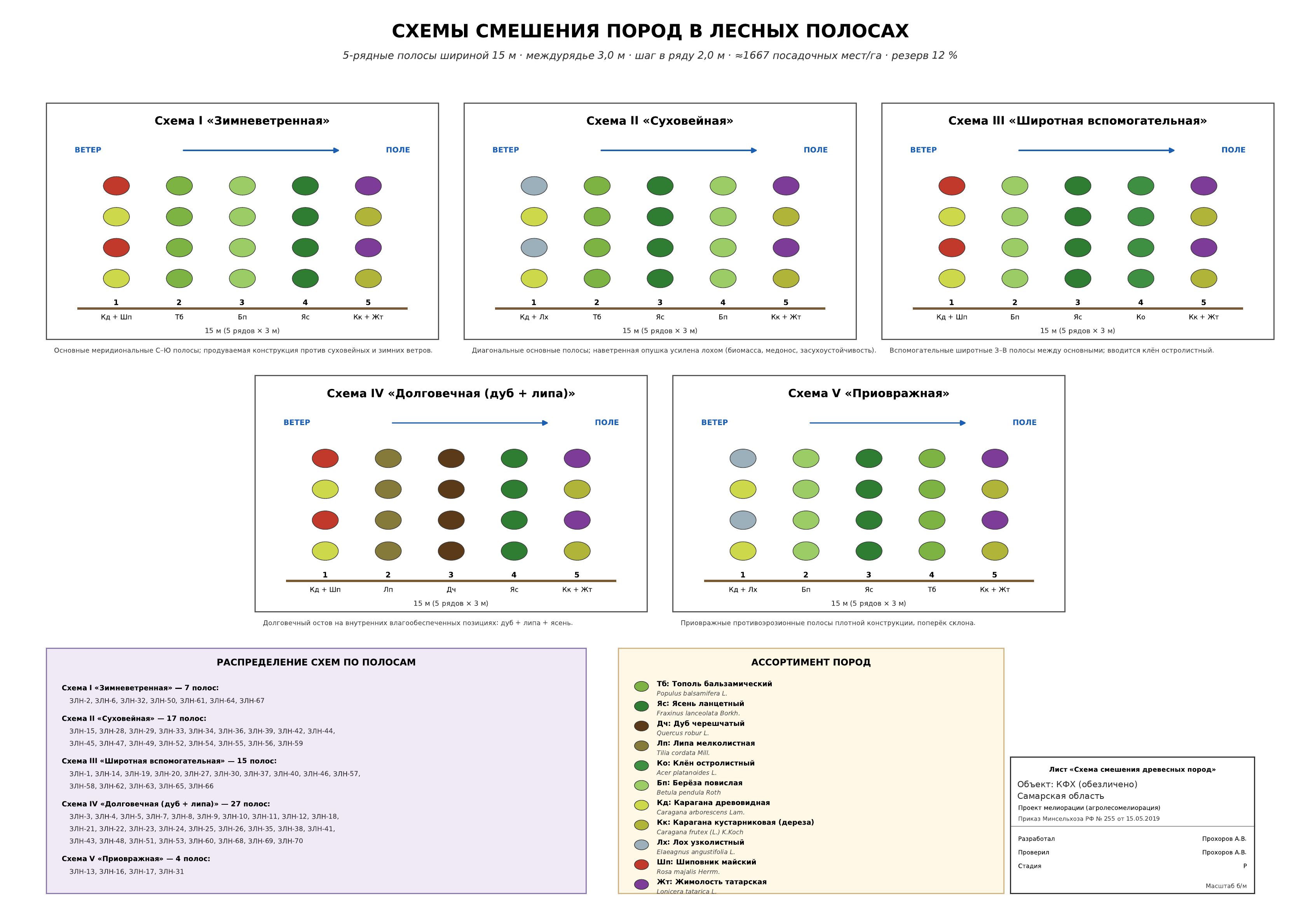 Графические схемы смешения древесных и кустарниковых пород в лесных полосах