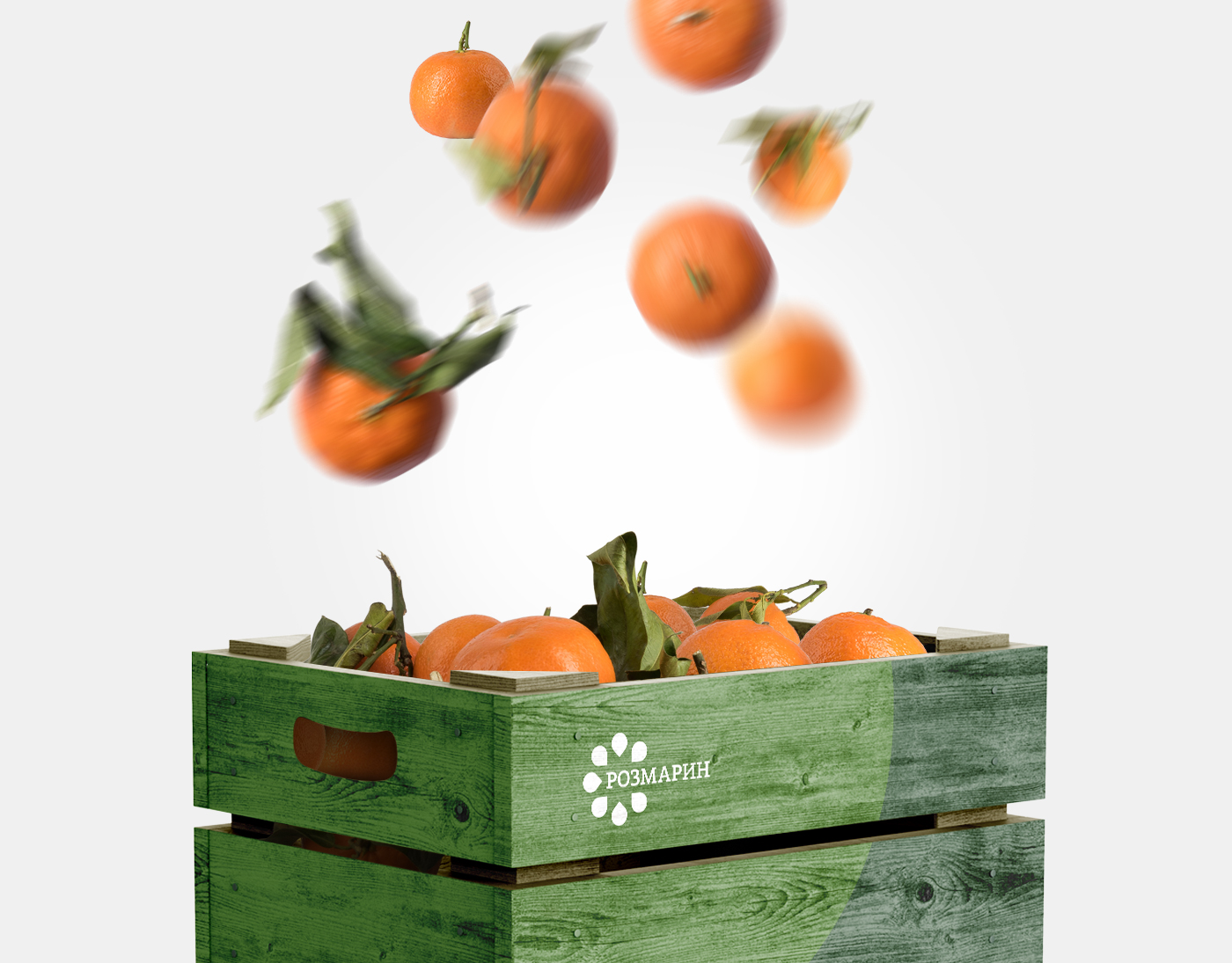 Розмарин – Around