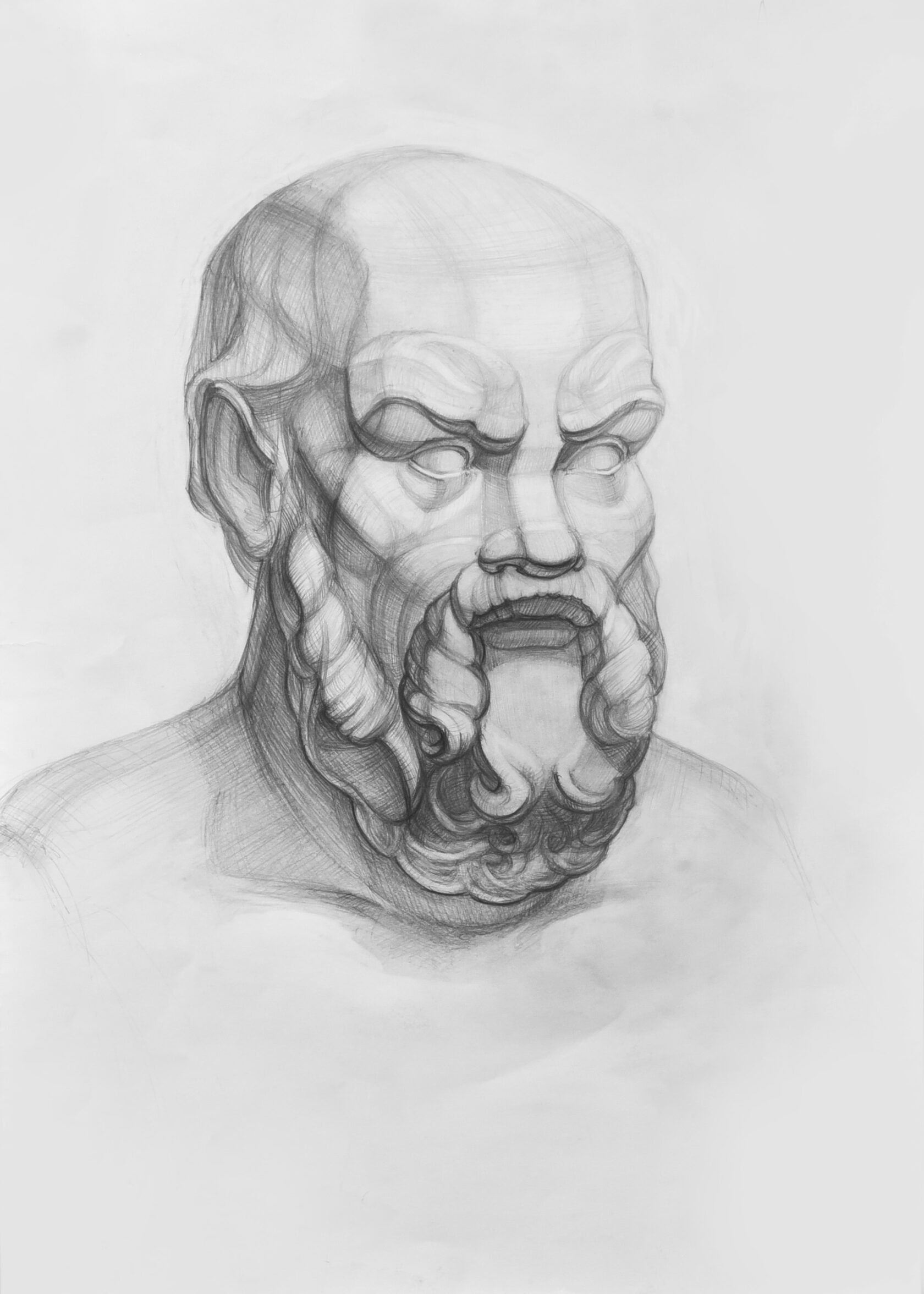 Рисунок головы Кондотьера Гаттамелаты