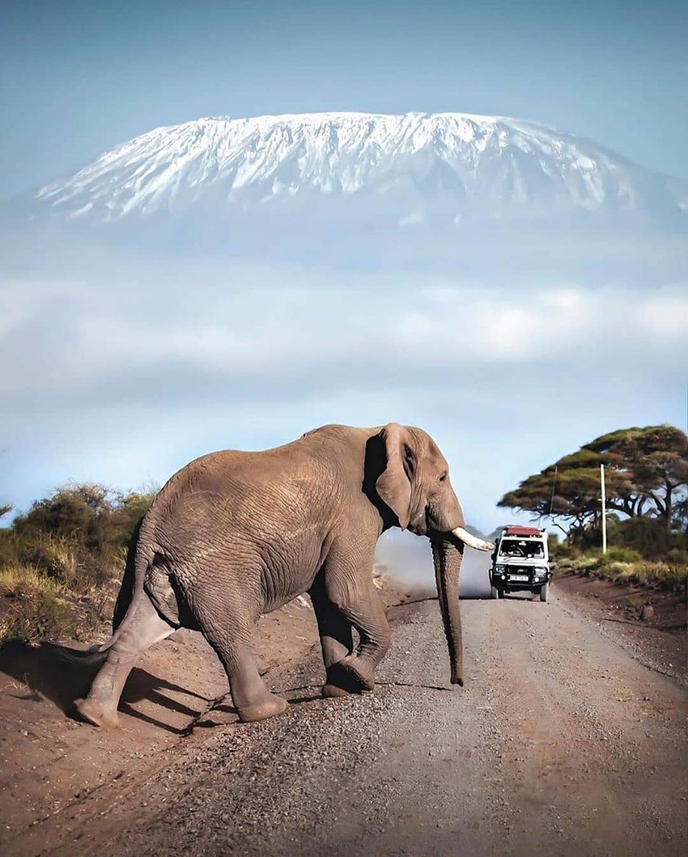 6 день. Национальный парк Амбосели.