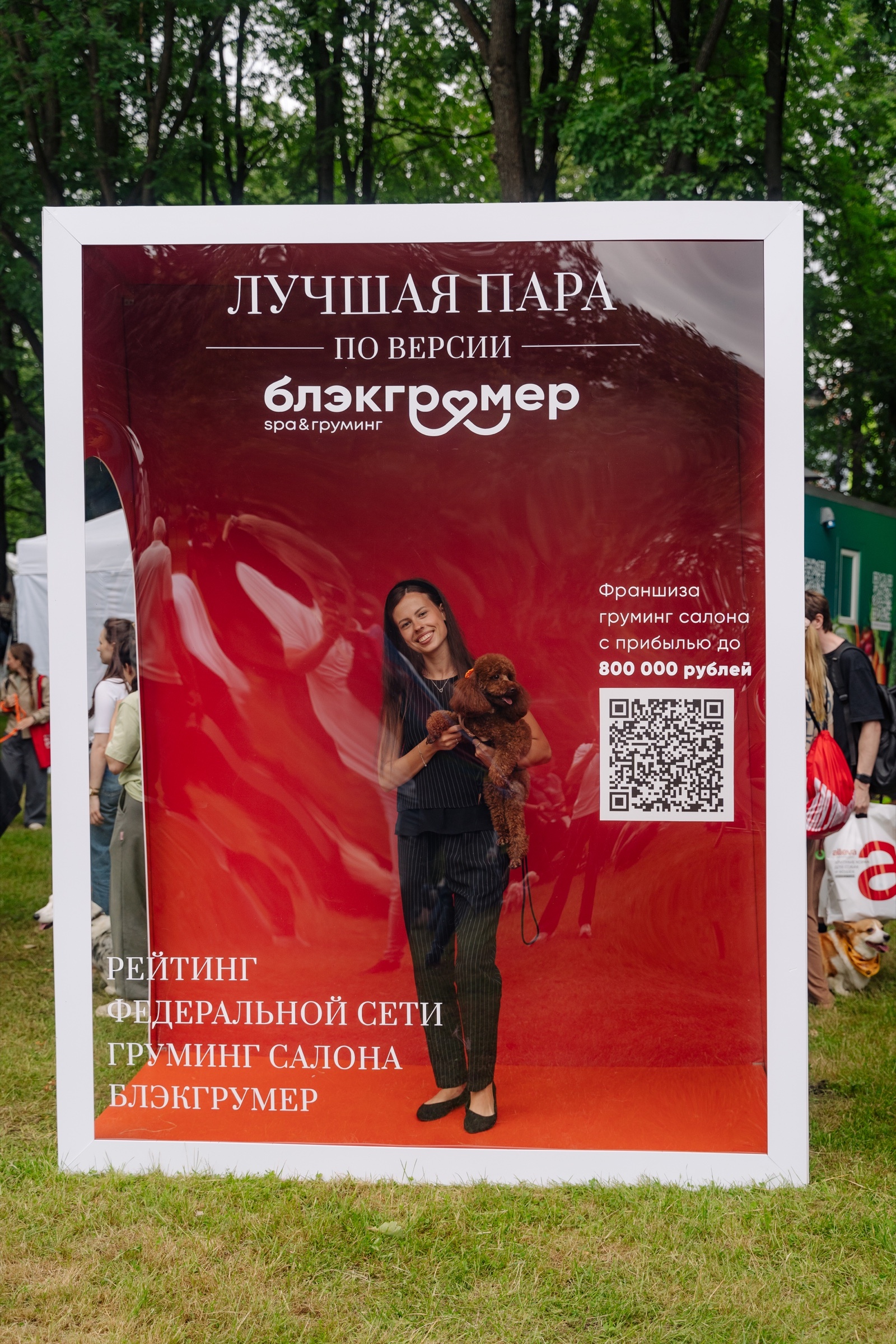 Бульдог на фестивале в Санкт-Петербурге