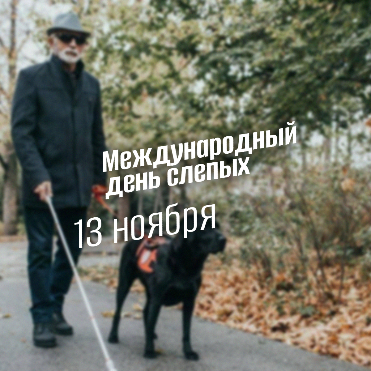 Международный день слепых 13 ноября
