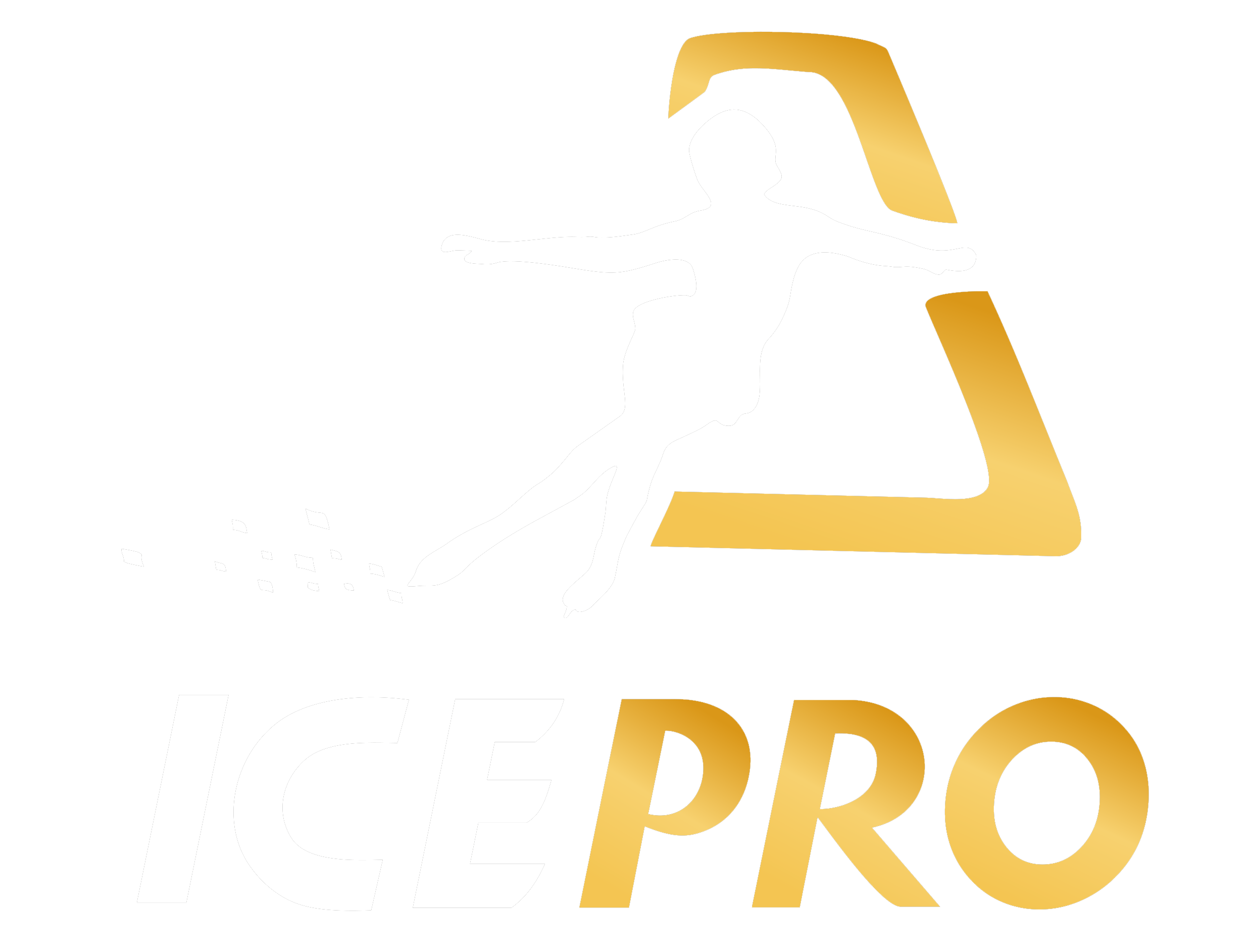 ICEPRO