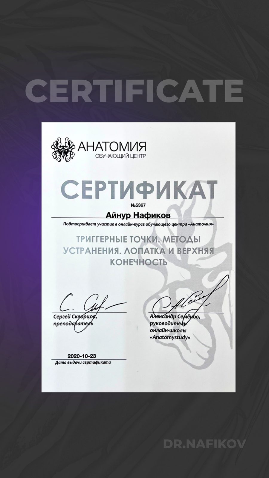 Триггерные точки: лопатка и верхняя конечность