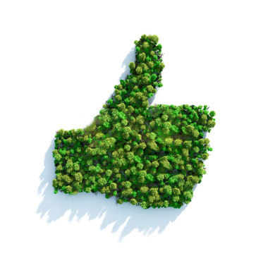 виды створок в пластиковом остеклении фото