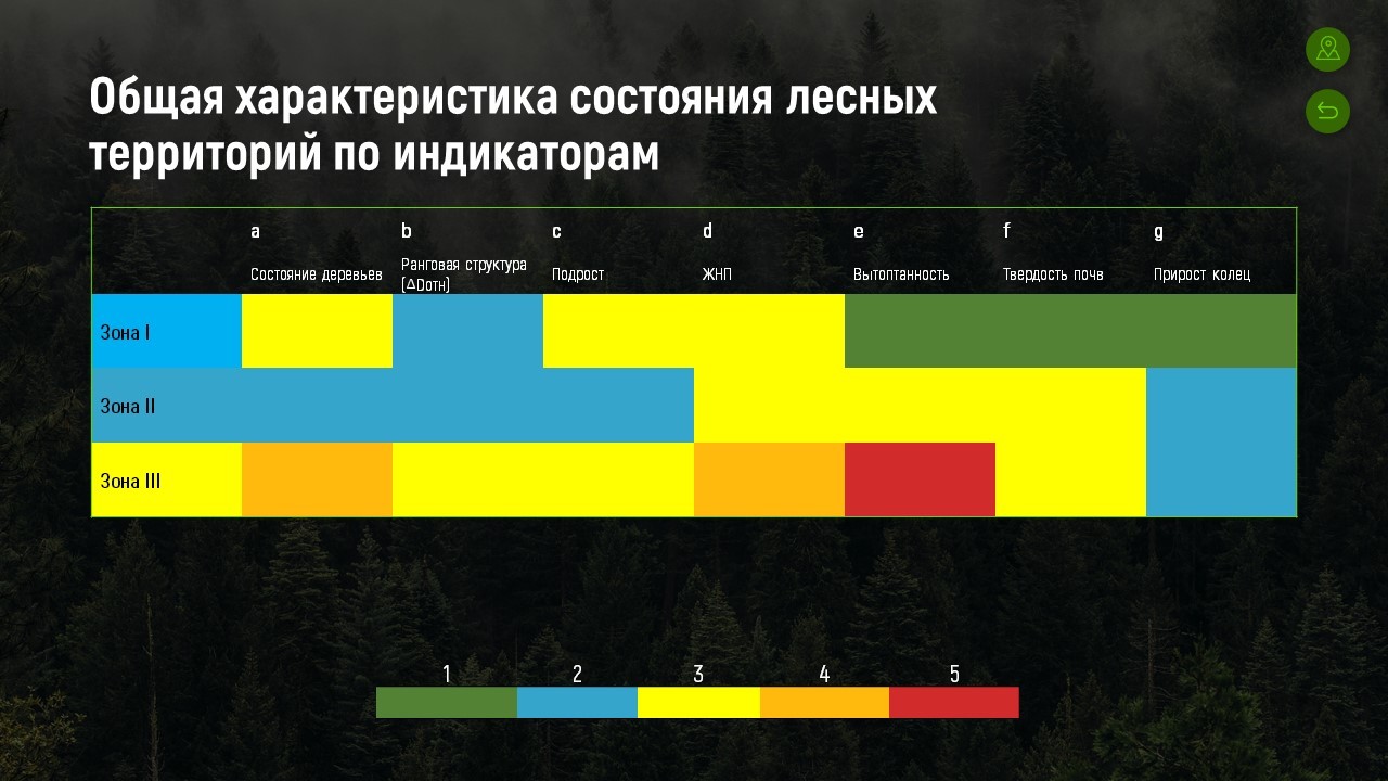 Троицкий лес. Результаты исследования