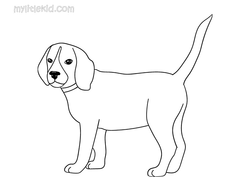 Раскраски собак, рисунки собак, картинки собак скачать
