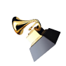 Grammy icon