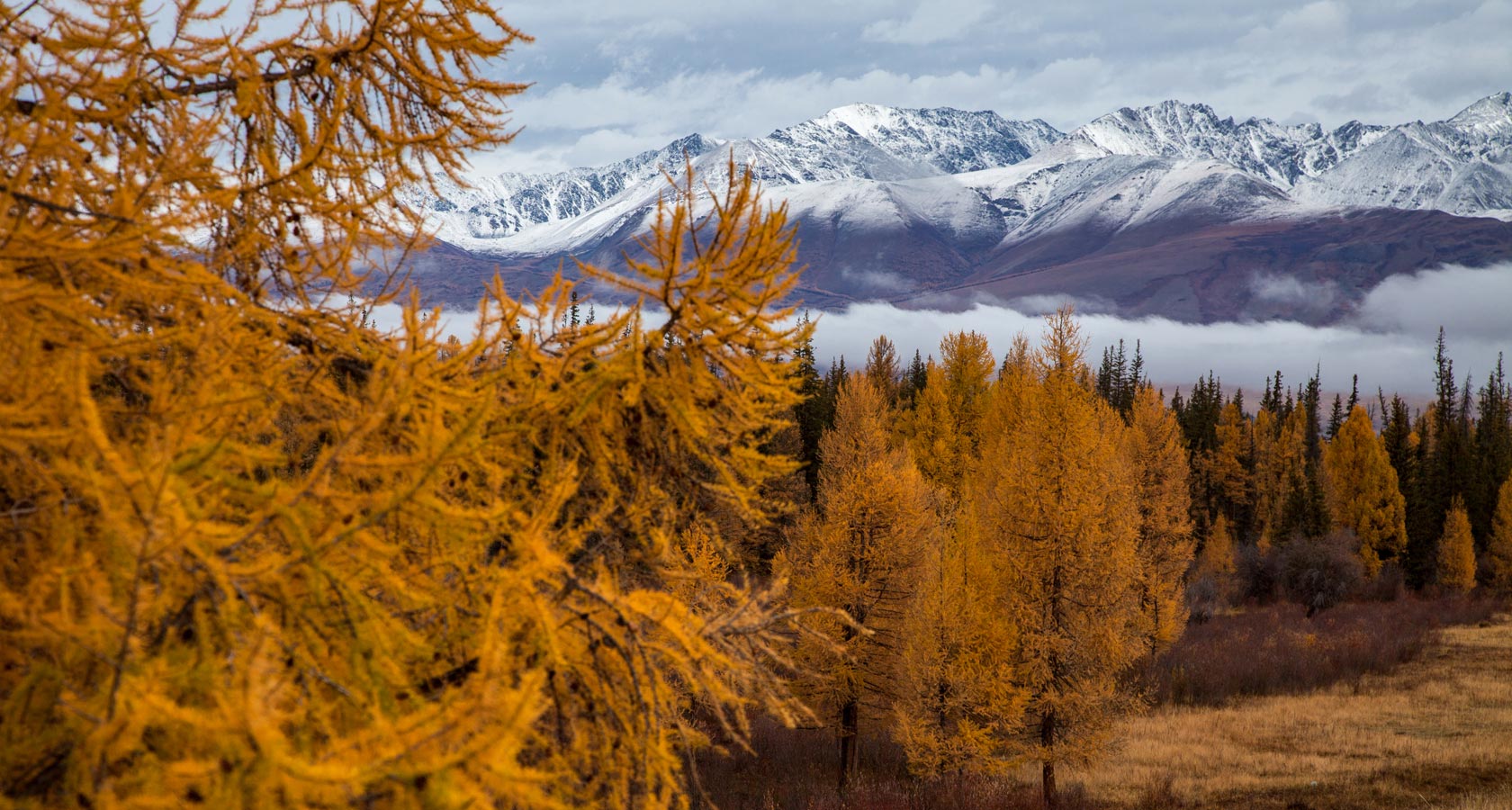 Время алтайский область. Алтай время сейчас. Алтай время.