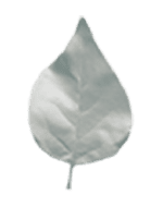 букеты Полтава