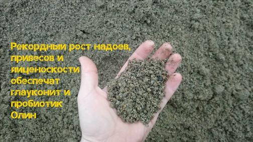 Глауконит