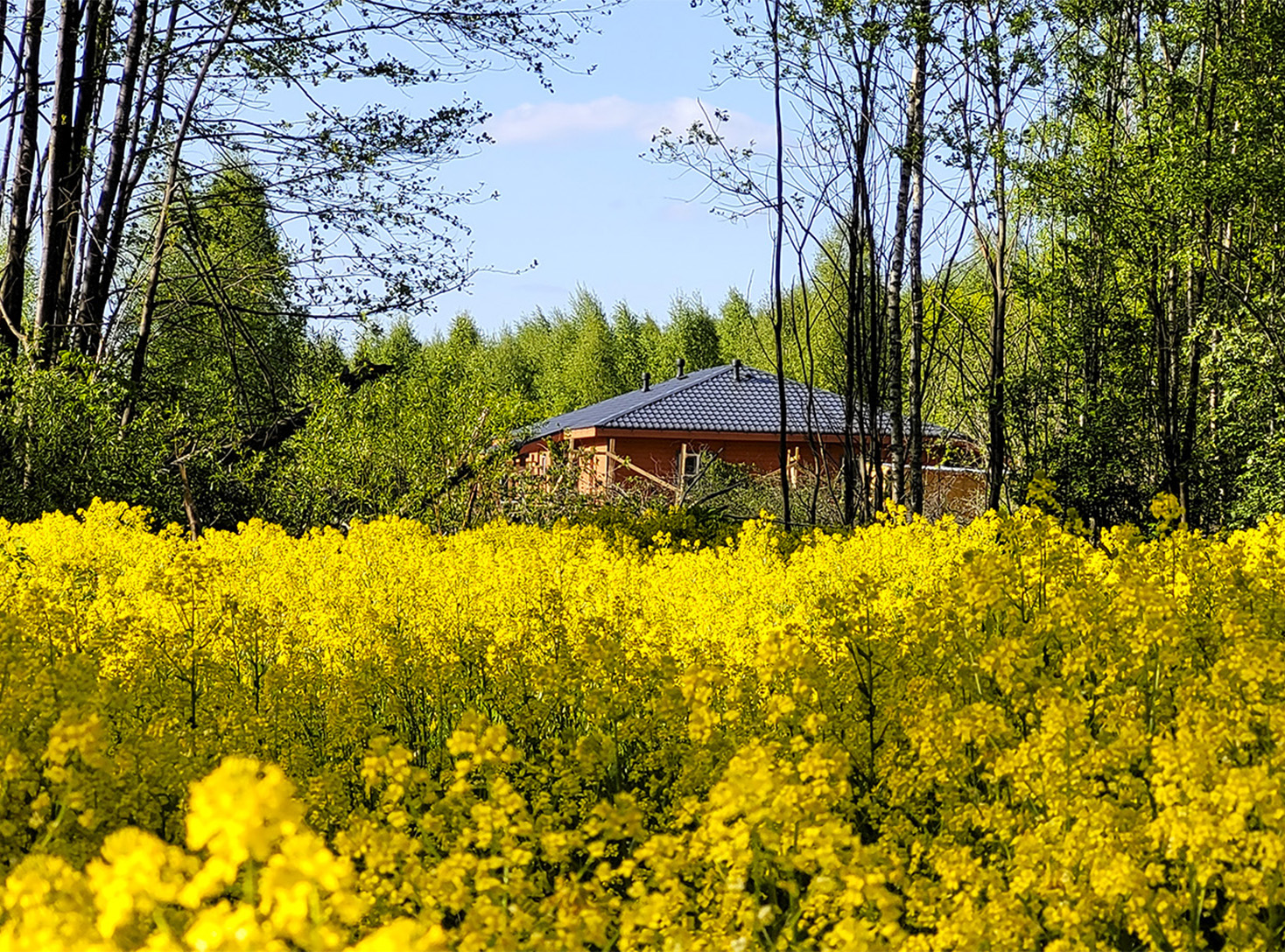 Парк флора аксай