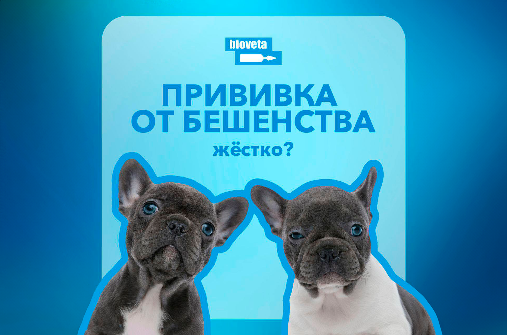 Прививка от бешенства